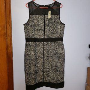 NWT Ann Taylor Black and white dress - 14